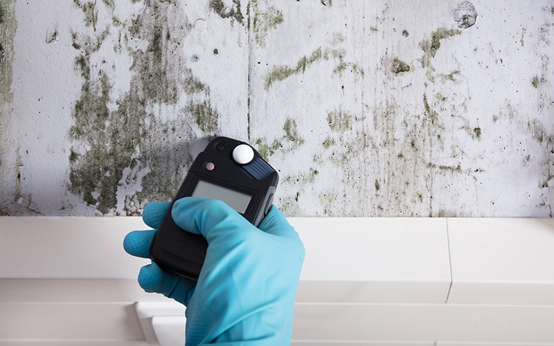 Person Hand Wearing Gloves Measuring Wetness Mold Testing Home Inspection Services